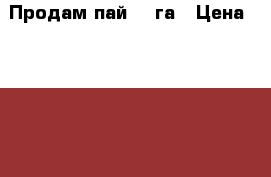 Продам пай  3 га › Цена ­ 1 350 000 - Алтай респ., Чемальский р-н, Эликманар с. Недвижимость » Земельные участки продажа   . Алтай респ.